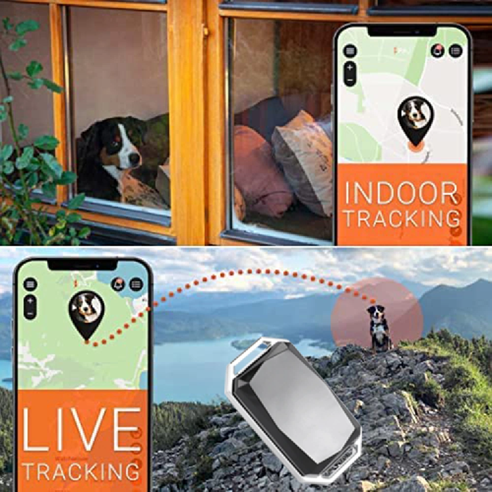 G58 model pet gps tracker real-time tracking (8)