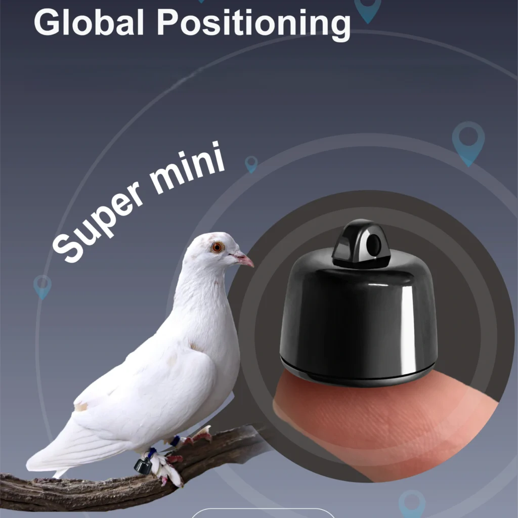 quite mini locator tracker (11