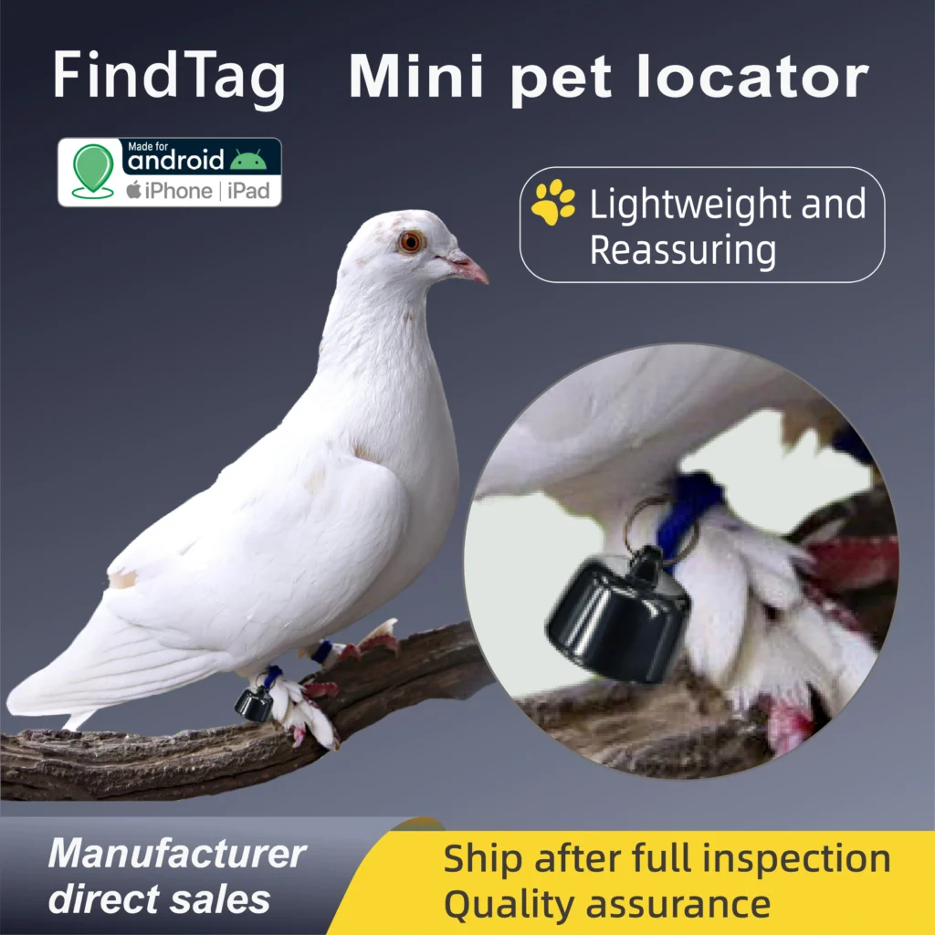 quite mini locator tracker (4)